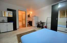 Apartament cu o camera, 28 mp, zona Farmec, strada Bucuresti