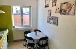 1 camera, 45 mp, semidecomandat, zona strazii Piezisa 