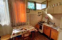 Garsoniera 28mp, Grigore Alexandrescu, Manastur