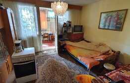 Garsoniera 28mp, Grigore Alexandrescu, Manastur