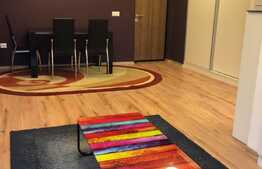 Apartament cu 2 camere, terasa 25 mp, zona strazii Titulescu, pet friendly 