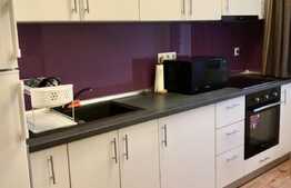 Apartament cu 2 camere, terasa 25 mp, zona strazii Titulescu, pet friendly 