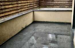 Apartament cu 2 camere, terasa 25 mp, zona strazii Titulescu, pet friendly 