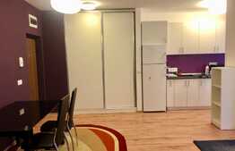 Apartament cu 2 camere, terasa 25 mp, zona strazii Titulescu, pet friendly 