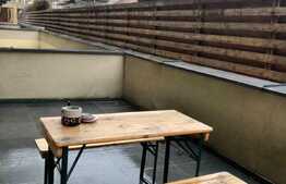 Apartament cu 2 camere, terasa 25 mp, zona strazii Titulescu, pet friendly 