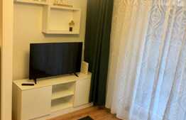 Apartament cu 2 camere, terasa 25 mp, zona strazii Titulescu, pet friendly 