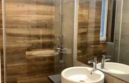 Apartament cu 2 camere, terasa 25 mp, zona strazii Titulescu, pet friendly 