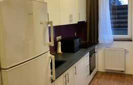 Apartament cu 2 camere, terasa 25 mp, zona strazii Titulescu, pet friendly 