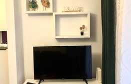 Apartament cu 2 camere, terasa 25 mp, zona strazii Titulescu, pet friendly 