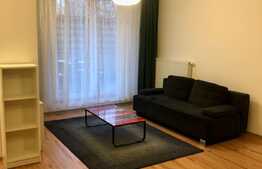 Apartament cu 2 camere, terasa 25 mp, zona strazii Titulescu, pet friendly 