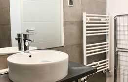 Apartament cu 2 camere, terasa 25 mp, zona strazii Titulescu, pet friendly 