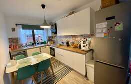 Casa individuala, 97,26 mp utili, 500 mp teren, cartier Izvor