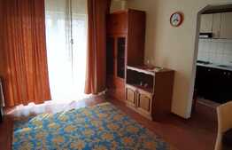 Apartament cu o camera, 36 mp, zona Somesului