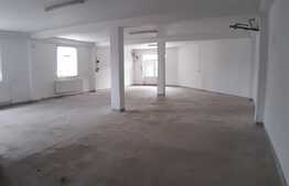 Spatiu comercial de inchiriat, 410 mp, zona Tauti