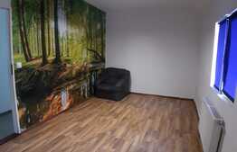 Spatiu comercial de inchiriat, 410 mp, zona Tauti