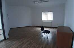 Spatiu comercial de inchiriat, 410 mp, zona Tauti