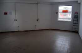 Spatiu comercial de inchiriat, 410 mp, zona Tauti