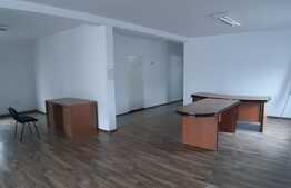 Spatiu comercial de inchiriat, 410 mp, zona Tauti
