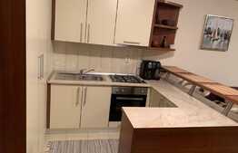 Apartament cu 2 camere, 42 mp, parcare, zona Calea Turzii