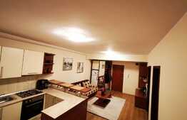 Apartament cu 2 camere, 42 mp, parcare, zona Calea Turzii