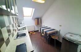 Apartament cu 1 camera, 40 mp, zona strazii Anina