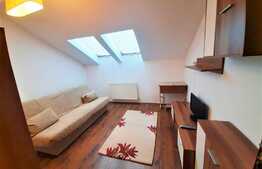 Apartament cu 1 camera, 40 mp, zona strazii Anina