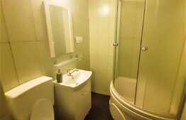 Apartament cu 1 camera, 40 mp, zona strazii Anina