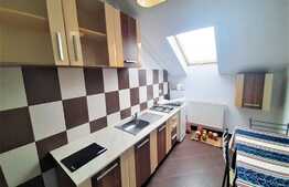 Apartament cu 1 camera, 40 mp, zona strazii Anina