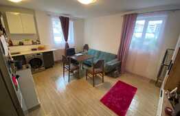 Apartament 2 camere, 44 mp utili, zona strazii Tineretului!