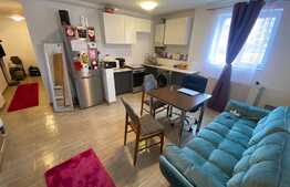 Apartament 2 camere, 44 mp utili, zona strazii Tineretului!