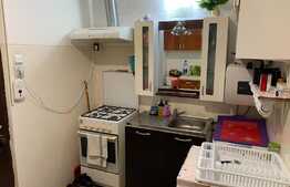 Garsoniera, 20 mp, Uzina 2