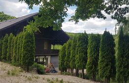 Investitie ! Casa de vacanta 350 mp utili ,teren 3000 mp in Faget !