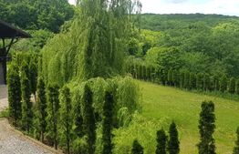 Investitie ! Casa de vacanta 350 mp utili ,teren 3000 mp in Faget !