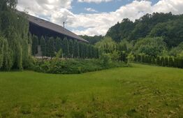 Investitie ! Casa de vacanta 350 mp utili ,teren 3000 mp in Faget !