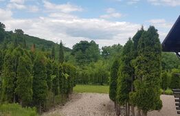 Investitie ! Casa de vacanta 350 mp utili ,teren 3000 mp in Faget !