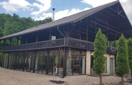 Investitie ! Casa de vacanta 350 mp utili ,teren 3000 mp in Faget !