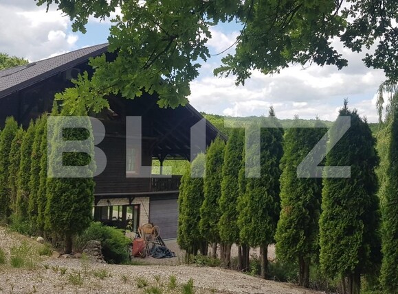 Casa de vânzare 5 camere Făget - 62078CV | BLITZ Cluj-Napoca | Poza6