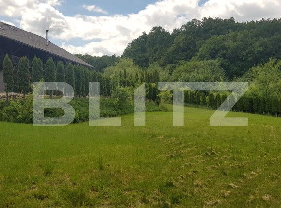 Casa de vânzare 5 camere Făget - 62078CV | BLITZ Cluj-Napoca | Poza11