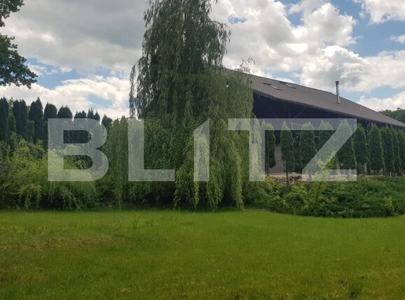 Casa de vânzare 5 camere Făget - 62078CV | BLITZ Cluj-Napoca | Poza10