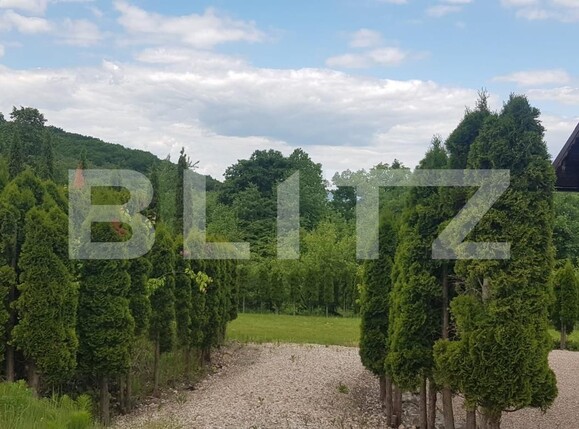 Casa de vânzare 5 camere Făget - 62078CV | BLITZ Cluj-Napoca | Poza12