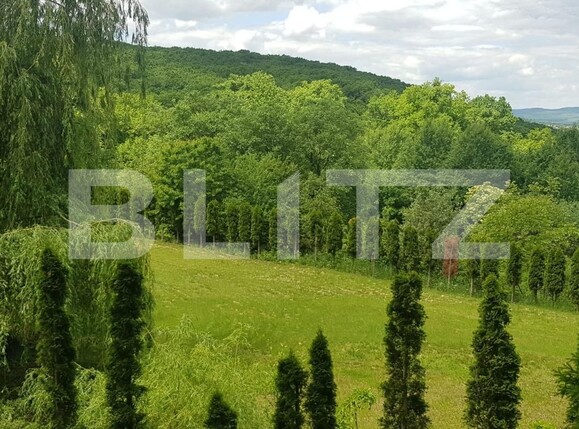 Casa de vânzare 5 camere Făget - 62078CV | BLITZ Cluj-Napoca | Poza4