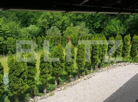 Casa de vânzare 5 camere Făget - 62078CV | BLITZ Cluj-Napoca | Poza5