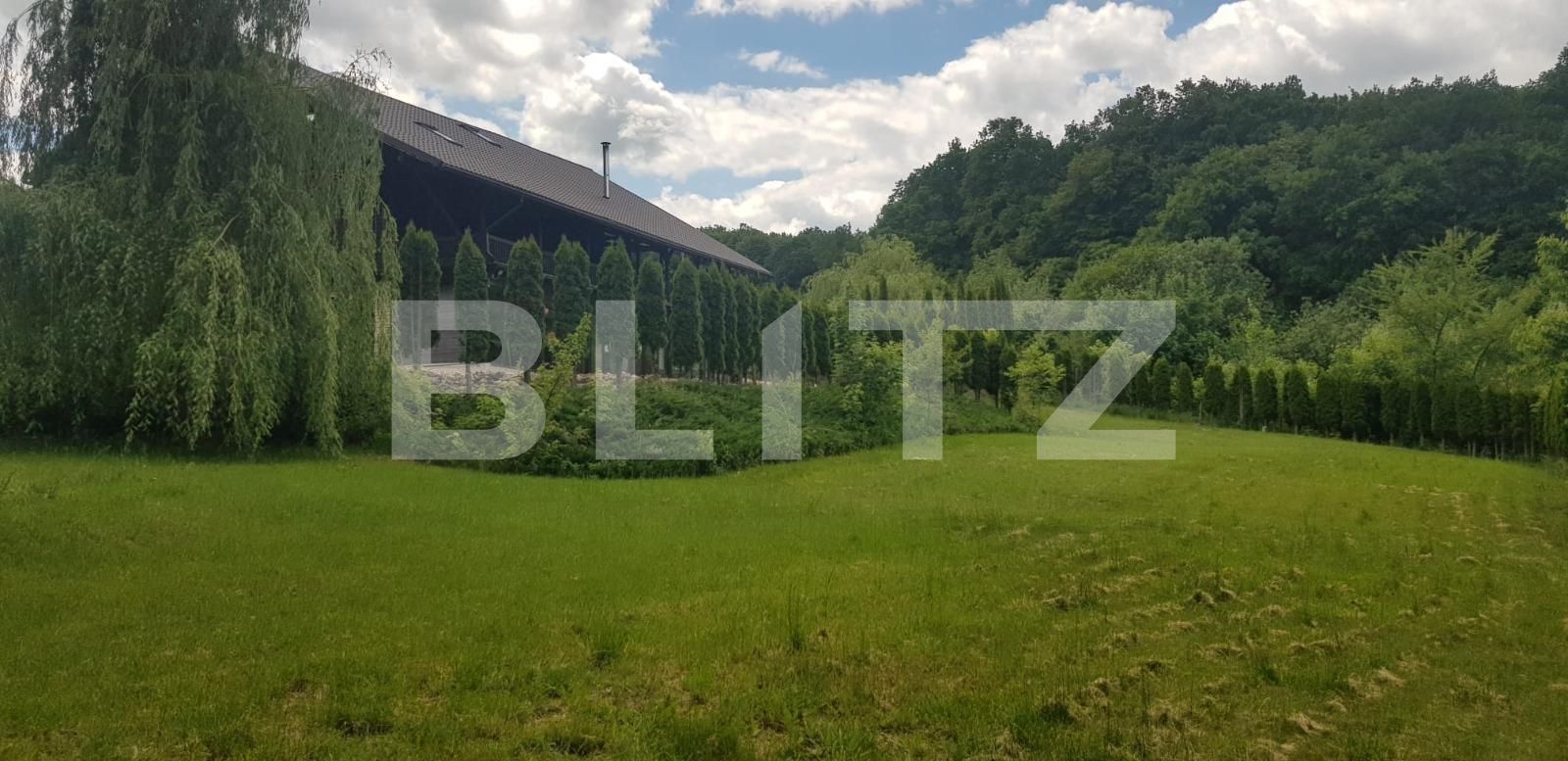 Casa de vânzare 5 camere Făget - 62078CV | BLITZ Cluj-Napoca | Poza8