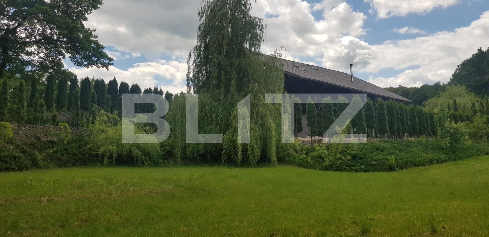 Casa de vânzare 5 camere Făget - 62078CV | BLITZ Cluj-Napoca | Poza10