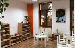 Casa individuala superba, zona strazii C-tin Brancusi