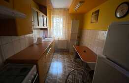 Apartament 2 camere, Zona Faget