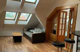 Apartament 2 camere, decomandat, ultracentral, 55 mp, zona strazii Brassai