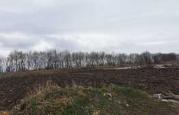 Teren de vanzare Stupini, Baciului 2719mp