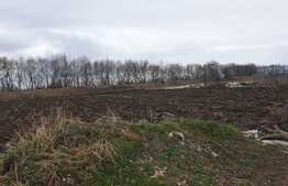 Teren de vanzare Stupini, Baciului 2719mp