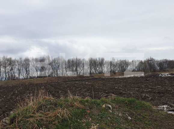 Teren de vânzare Stupini - 62128TV | BLITZ Brașov | Poza2